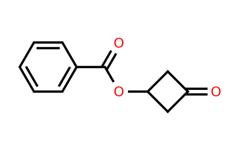 CAS 1081559-36-5 | 3-oxocyclobutyl benzoate