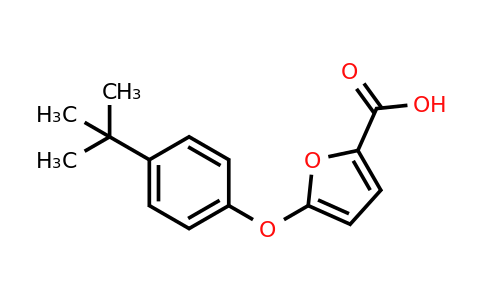 CAS 1082119-84-3 | 5-(4-(tert-Butyl)phenoxy)furan-2-carboxylic acid