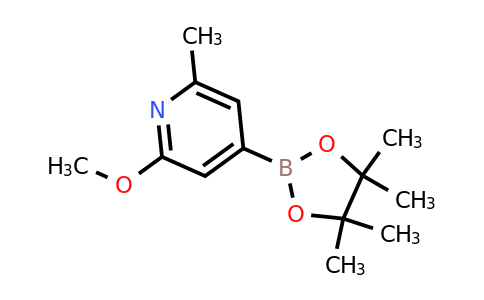CAS 1083168-87-9 | 2-Methoxy-6-methyl-4-(4,4,5,5-tetramethyl-1,3,2-dioxaborolan-2-YL)pyridine