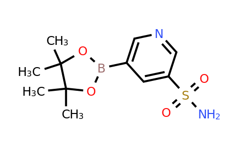 5-(4,4,5,5-Tetramethyl-1,3,2-dioxaborolan-2-YL)pyridine-3-sulfonamide