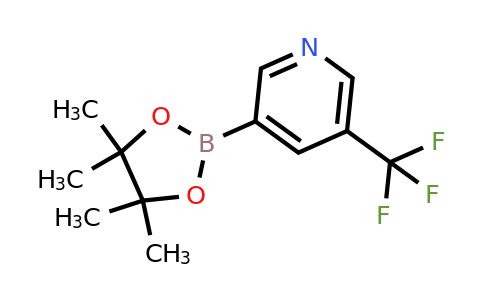 5-Trifluoromethylpyridine-3-boronic acid pinacol ester