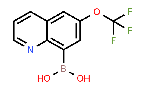CAS 1089179-11-2 | (6-(Trifluoromethoxy)quinolin-8-yl)boronic acid