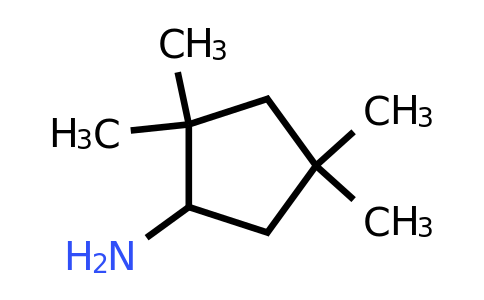 CAS 1092287-89-2 | 2,2,4,4-tetramethylcyclopentan-1-amine