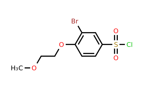 CAS 1094253-67-4 | 3-Bromo-4-(2-methoxyethoxy)benzene-1-sulfonyl chloride