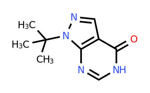 CAS 1094377-59-9 | 1-tert-butyl-1H,4H,5H-pyrazolo[3,4-d]pyrimidin-4-one
