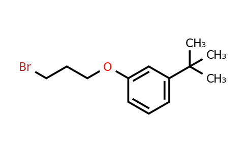CAS 1094702-92-7 | 1-(3-Bromopropoxy)-3-tert-butylbenzene
