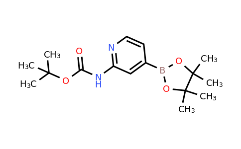 2-(Tert-butoxycarbonylamino)pyridine-4-boronic acid pinacol ester