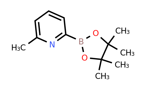 CAS 1096689-44-9 | 6-Methylpyridine-2-boronic acid pinacol ester