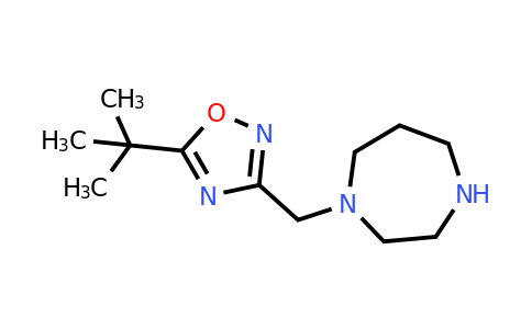 CAS 1097793-17-3 | 5-tert-butyl-3-(1,4-diazepan-1-ylmethyl)-1,2,4-oxadiazole