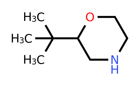 CAS 1097796-99-0 | 2-Tert-butylmorpholine