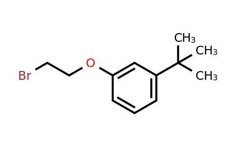 CAS 1099115-94-2 | 1-(2-Bromoethoxy)-3-tert-butylbenzene