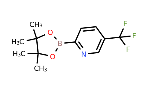 CAS 1101205-23-5 | 5-(Trifluoromethyl)pyridine-2-boronic acid pinacol ester