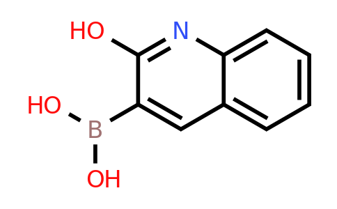 CAS 1101864-58-7 | 2-Hydroxyquinolin-3-ylboronic acid