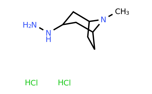 CAS 110406-91-2 | 3-Hydrazinyl-8-methyl-8-azabicyclo[3.2.1]octane dihydrochloride