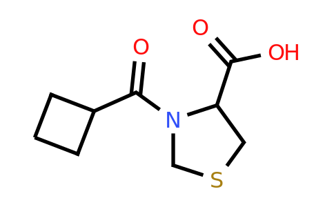 CAS 1104473-32-6 | 3-Cyclobutanecarbonyl-1,3-thiazolidine-4-carboxylic acid
