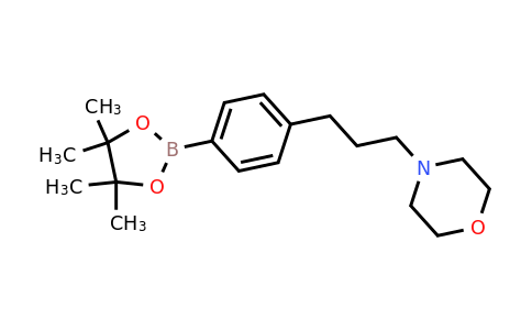 CAS 1105664-48-9 | 4-[3-[4-(4,4,5,5-Tetramethyl-[1,3,2]dioxaborolan-2-YL)-phenyl]-propyl]-morpholine