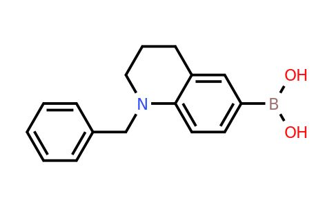 CAS 1107581-51-0 | 1-Benzyl-1,2,3,4-tetrahydro-6-quinolinylboronic acid