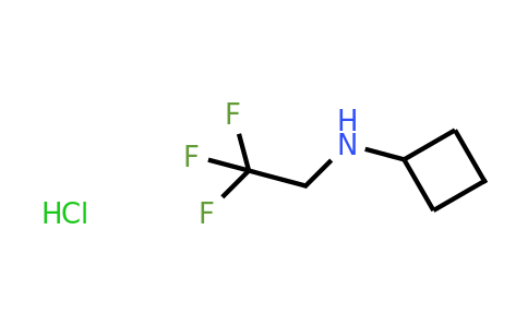 CAS 1116589-04-8 | N-(2,2,2-trifluoroethyl)cyclobutanamine hydrochloride