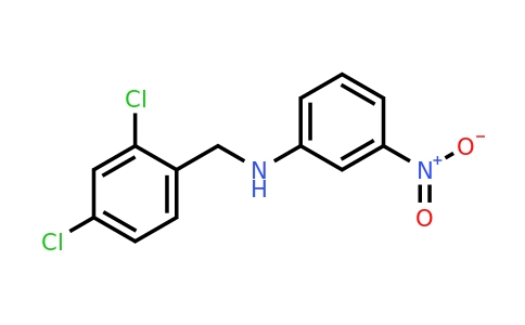 CAS 1119449-46-5 | N-(2,4-Dichlorobenzyl)-3-nitroaniline