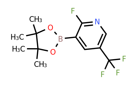 CAS 1128269-66-8 | 2-Fluoro-5-(trifluoromethyl)-pyridine-3-boronic acid pinacol ester