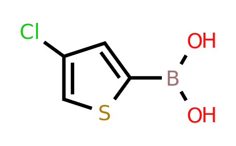 CAS 1133931-02-8 | 4-Chlorothiophene-2-boronic acid
