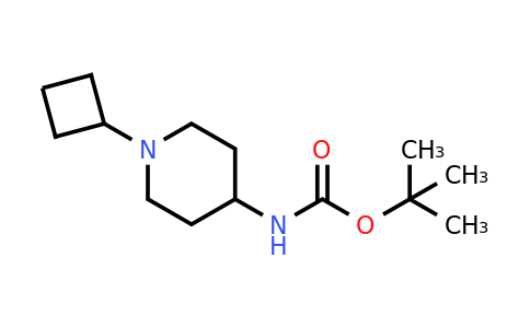 CAS 1134330-42-9 | tert-Butyl (1-cyclobutylpiperidin-4-yl)carbamate