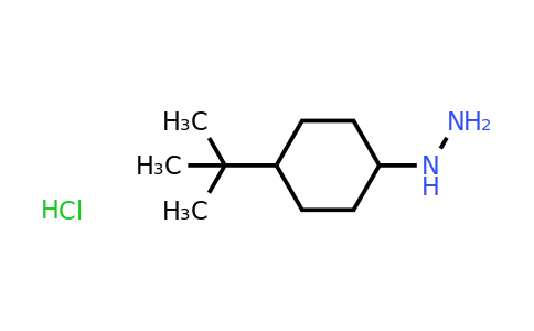 CAS 1135024-92-8 | (4-tert-butylcyclohexyl)hydrazine hydrochloride