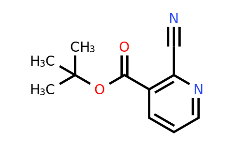 CAS 114429-07-1 | Tert-butyl-2-cyanonicotinate