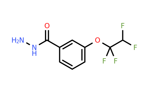 CAS 114467-21-9 | 3-(1,1,2,2-Tetrafluoroethoxy)benzohydrazide