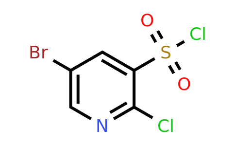 CAS 1146290-19-8 | 5-bromo-2-chloropyridine-3-sulfonyl chloride