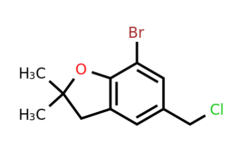CAS 1146290-40-5 | 7-Bromo-5-(chloromethyl)-2,2-dimethyl-2,3-dihydro-1-benzofuran