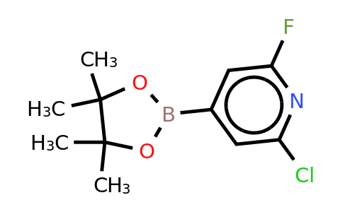 CAS 1146615-89-5 | 2-Chloro-6-fluoropyridine-4-boronic acid, pinacol ester