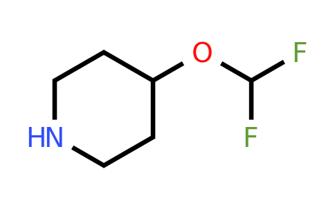 CAS 1147107-39-8 | 4-(difluoromethoxy)piperidine