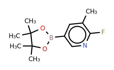 CAS 1150561-71-9 | 2-Fluoro-3-methylpyridine-5-boronic acid, pinacol ester