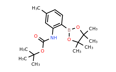 CAS 1150561-75-3 | tert-Butyl (5-methyl-2-(4,4,5,5-tetramethyl-1,3,2-dioxaborolan-2-yl)phenyl)carbamate