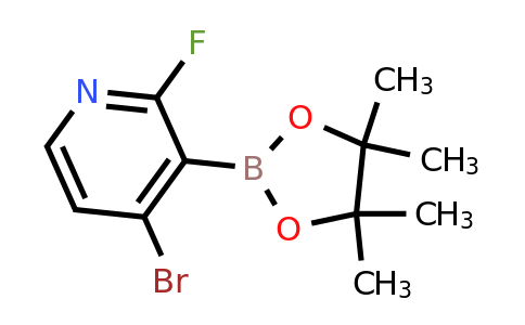 CAS 1150561-79-7 | 4-Bromo-2-fluoropyridine-3-boronic acid pinacol ester