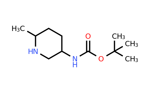 CAS 1150618-39-5 | tert-Butyl (6-methylpiperidin-3-yl)carbamate