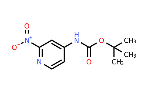 CAS 1152428-55-1 | Tert-Butyl (2-nitropyridin-4-yl)carbamate