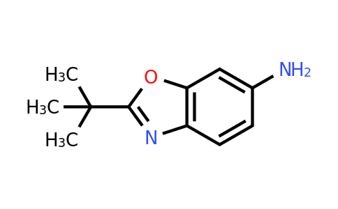 CAS 1152527-60-0 | 2-(tert-Butyl)benzo[d]oxazol-6-amine