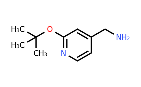 CAS 1152560-93-4 | [2-(tert-butoxy)pyridin-4-yl]methanamine