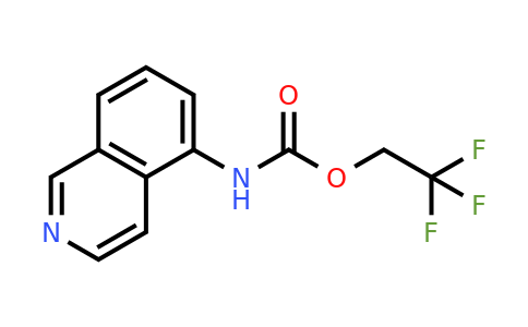 CAS 1152953-99-5 | 2,2,2-Trifluoroethyl N-(isoquinolin-5-yl)carbamate