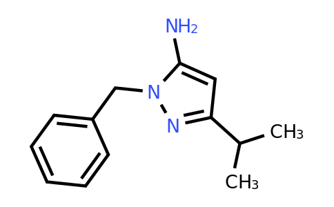 CAS 1154569-05-7 | 1-benzyl-3-(propan-2-yl)-1H-pyrazol-5-amine