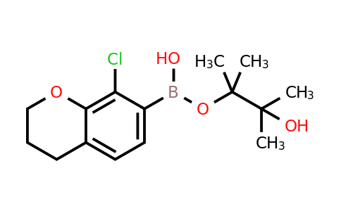 CAS 1154740-57-4 | 3-hydroxy-2,3-dimethylbutan-2-yl hydrogen (8-chlorochroman-7-yl)boronate