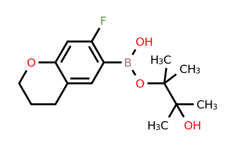CAS 1154741-03-3 | 3-hydroxy-2,3-dimethylbutan-2-yl hydrogen (7-fluorochroman-6-yl)boronate