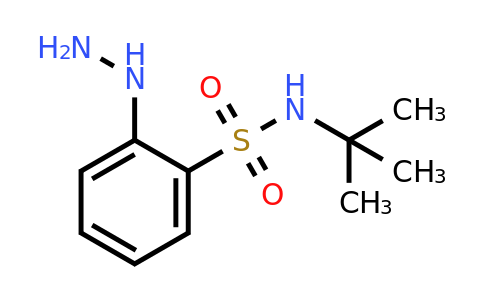 CAS 1155001-72-1 | N-(tert-Butyl)-2-hydrazinylbenzenesulfonamide