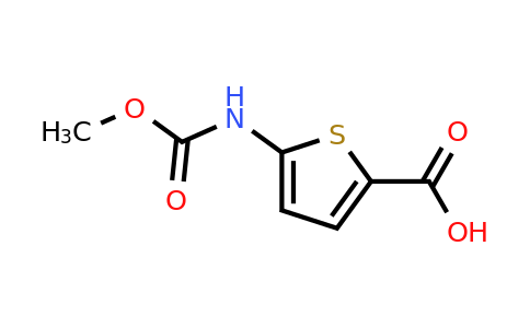 CAS 1155571-96-2 | 5-[(Methoxycarbonyl)amino]thiophene-2-carboxylic acid