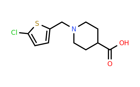 CAS 1156269-60-1 | 1-[(5-Chlorothiophen-2-yl)methyl]piperidine-4-carboxylic acid