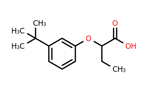 CAS 1157985-51-7 | 2-(3-tert-Butylphenoxy)butanoic acid