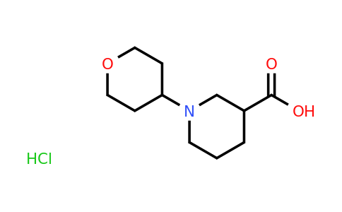 CAS 1158422-53-7 | 1-(Tetrahydro-2H-pyran-4-yl)piperidine-3-carboxylic acid hydrochloride