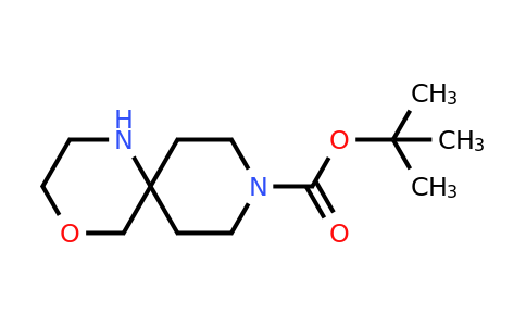 CAS 1160247-04-0 | tert-butyl 4-oxa-1,9-diazaspiro[5.5]undecane-9-carboxylate